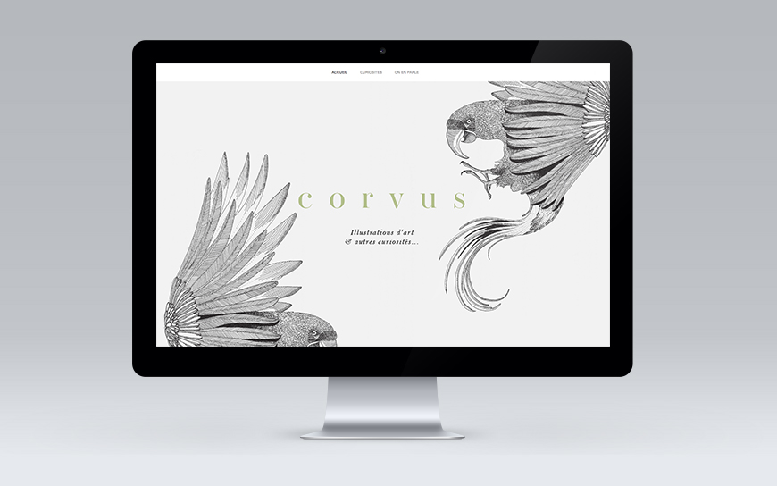 corvus6